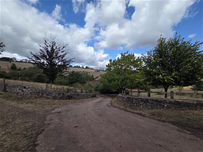 Picture 30